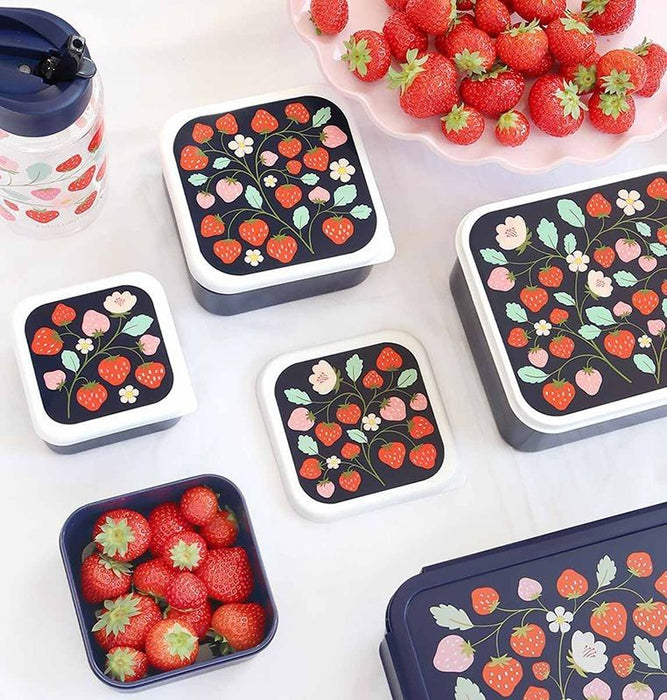 A Little Lovely Company Lunchbox Erdbeeren 4er-Set