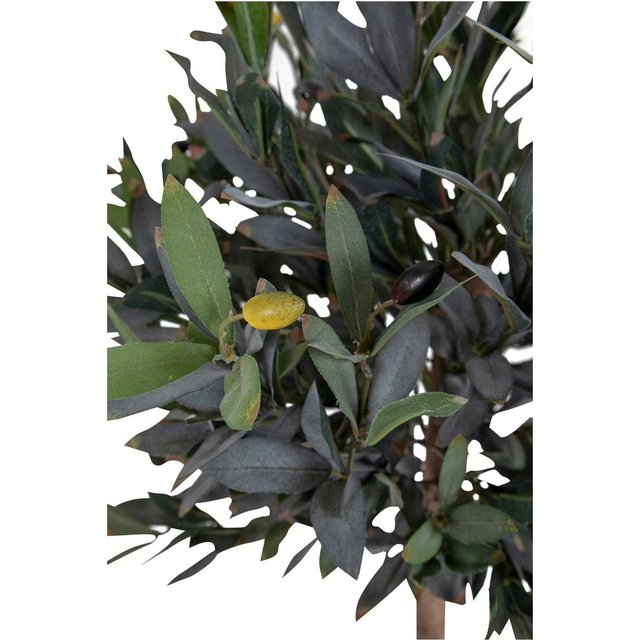 House Nordic Dekopflanzen Olivenbaum