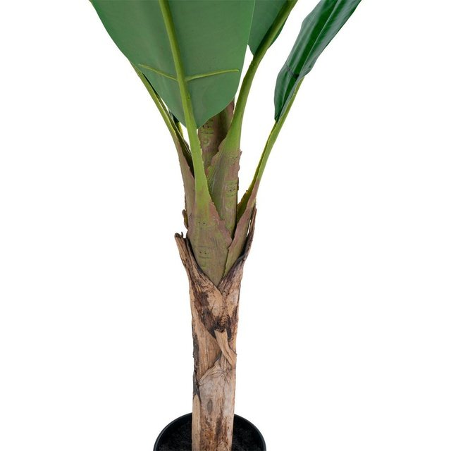 Dekopflanze Bananenbaum